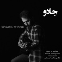 Shahab Mohsenzadeh - Jadoo