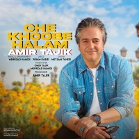 Amir Tajik - Che Khoobe Halam