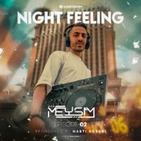 Dj Meysam - Night Feeling 02