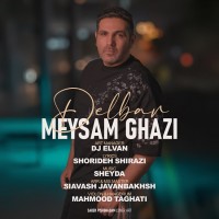 Meysam Ghazi - Delbar