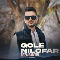 Reza Ramtin - Gole Niloofar