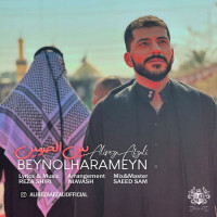 Alireza Afzali - Beynolharameyn