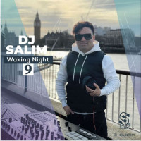 Dj Salim - Waking Night 9