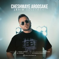 Javid Soleymani - Cheshmaye Aroosaki