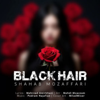 Shahab Mozaffari - Black Hair