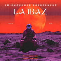 Amirmohamad Bozorgmehr - Lajbaz