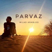 Milad Arabloo - Parvaz