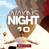 Dj Salim - Waking Night 10