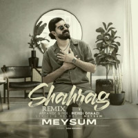 Meysum - Shaahrag ( Remix )