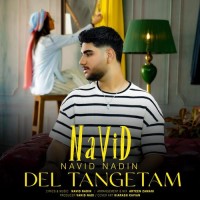 Navid Nadin - Del Tangetam