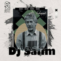 Dj Salim - Mr Hekayati Remix