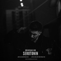 Mehrdaddm - Serotonin