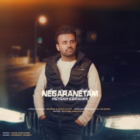 Meysam Ebrahimi - Negaranetam