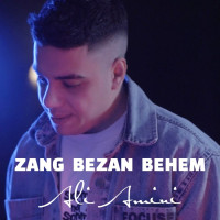 Ali Amini - Zang Bezan Behem