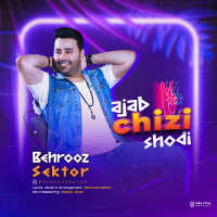 Behrooz Sektor - Ajab Chizi Shodi