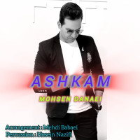 Mohsen Danaei - Ashkam