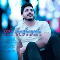Omid Abbaspour - Gole Shaghayegh
