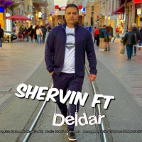 Shervin FT - Deldar
