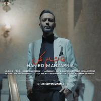 Hamed Mahzarnia - Tamasham Kon