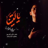 Mohammad Taha Etemadi - Ya Laytana