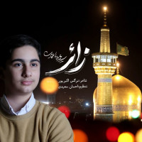 Mohammad Taha Etemadi - Zaer