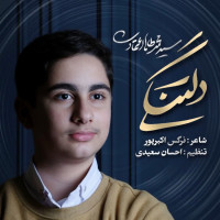 Mohammad Taha Etemadi - Deltangi