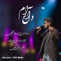 Amirreza Golchin - Delaram