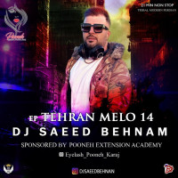Dj Saeed Behnam - Tehran Melo 14 (Podcast)