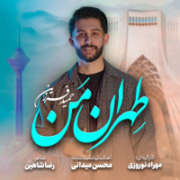 Hamid Farzin - Tehrane Man