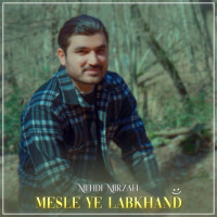 Mehdi Mirzaei - Mesle Ye Labkhand