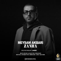 Meysam Akbari - Zanha