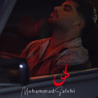 Mohammad Salehi - Del