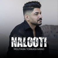 Mojtaba Torkashvand - Nalooti