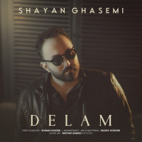 Shayan Ghasemi - Delam