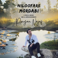 Pouyan Najaf - Nilofar Mordabi
