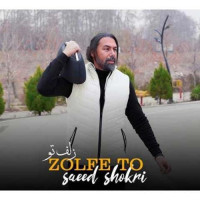 Saeed Shokri - Zolfe To