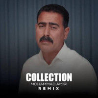 Mohammad Amiri - Collection