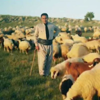 Reza Lorestani - Gol Feroosh