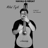 Milad Tajik - Havalie Negat