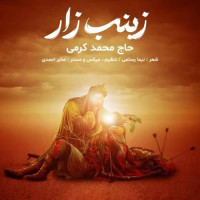 Mohammad Karami - Zeynab Zar