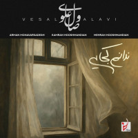 Vesal Alavi - Nadanam Kojaei