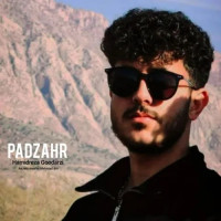 Hamidreza Goodarzi - Padzahr