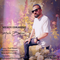 Mehdi Ebrahimi - Mesle Baroon