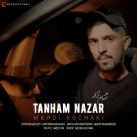 Mehdi Kochaki - Tanham Nazar