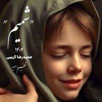 Mohammadreza Karimi - Shamim