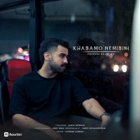 Pedram Najafian - Khabamo Nemibini