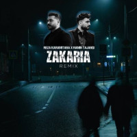 Reza Karami Tara & Ramin Tajangi - Zakaria (Remix)