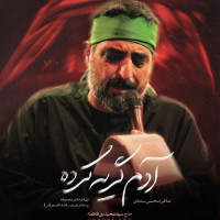 Seyed Majid Bani Fatemeh - Adam Geryeh Karde