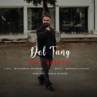 Vali Ghasemi - Deltang
