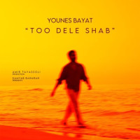 Younes Bayat - Too Dele Shab